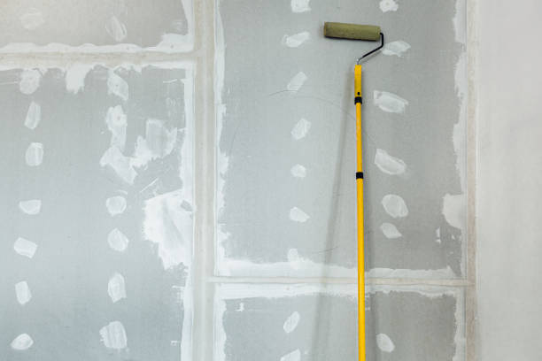 Best Mold Odor Removal Services  in Glenwood Landing, NY