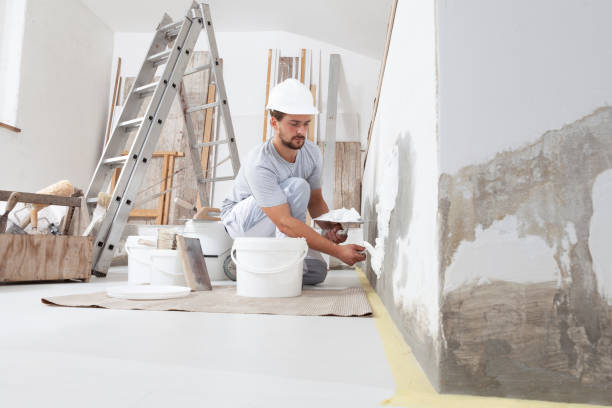 Professional Mold Removal in Glenwood Landing, NY
